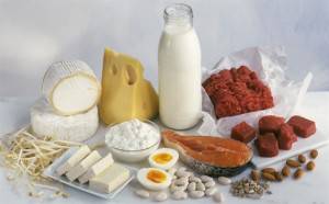 hrana-proteini-namirnice