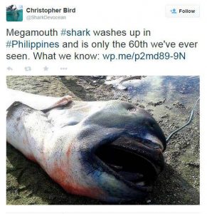 morski-pas-filipini2