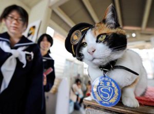 School girls admire "Tama", a nine-year-old female tortoiseshell cat wearing a stationmaster's cap of the Wakayama Electric Railway, as the feline sits on a ticket gate at Kishi station on the Kishigawa line in the city of Kinokawa, in Wakayama prefecture on May 22, 2008. The number of passengers who travel along the line increased 10 percent for the year to March 2007 from the previous year, credited to Tama after the "stationmaster" cat appeared at the unmanned small station. AFP PHOTO/Toru YAMANAKA (Photo credit should read TORU YAMANAKA/AFP/Getty Images)