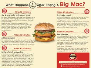 hamburger-organizam-promjene