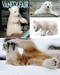 knut-polarni-medvjed2
