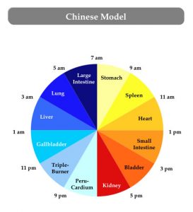 organi-vrijeme-kineski-biološki-sat
