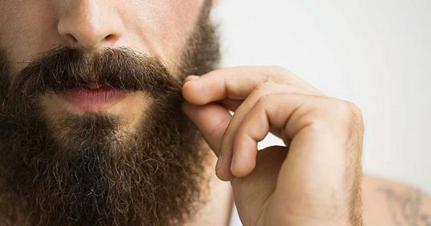 brada-brkovi