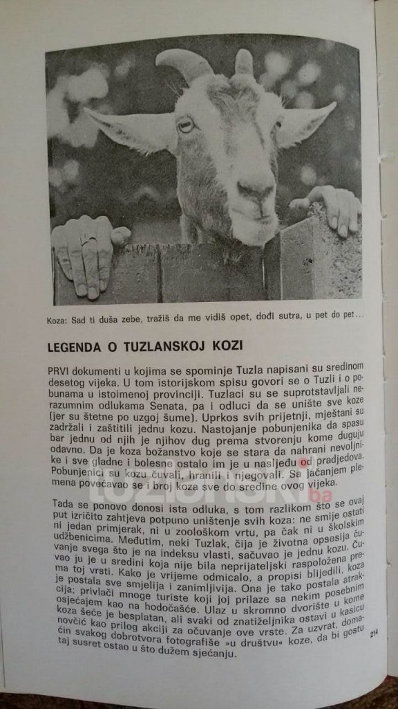 legenda-o-tuzlanskoj-kozi