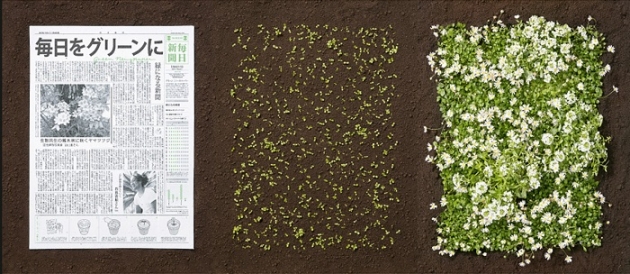 zelene-novine-cvijece2