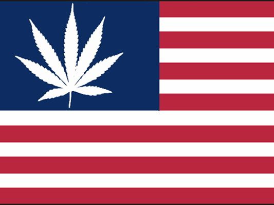 Svaki deseti napušen: Amerikanci sve bliži legalizaciji marihuane!