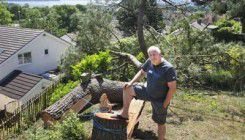 Srušio komšiji drvo jer mu je zaklanjalo pogled dok se brčka u kadi! (FOTO)