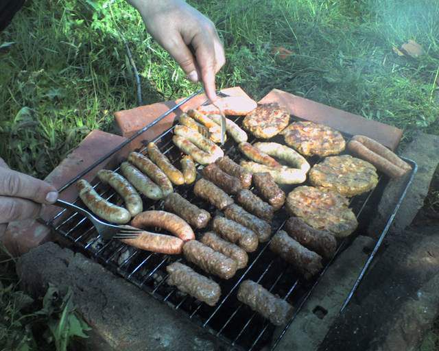 Bh. građani između svojih prava i roštilja biraju roštilj