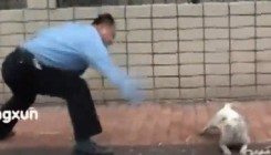 Monstrumi sa značkama: Policija brutalno ubila razigranog psa (VIDEO)