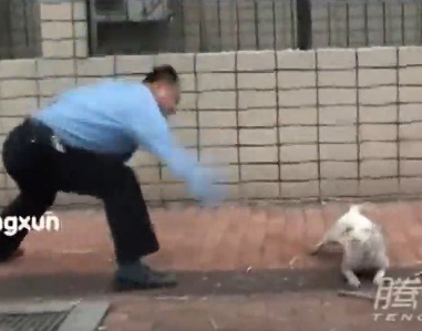 Monstrumi sa značkama: Policija brutalno ubila razigranog psa (VIDEO)
