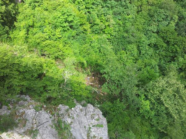 Više osoba je poginulo u nesreći na putu Podgorica-Kolašin