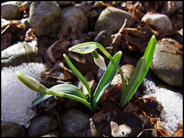 Temperatura u februaru će biti viša u odnosu na višegodišnji prosjek