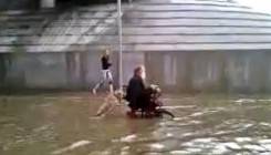 Prizor koji dira pravo u srce: Pas gura hendikepiranog vlasnika kroz poplave! (VIDEO)