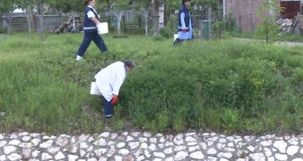 U toku deratizacija na području općine Tuzla