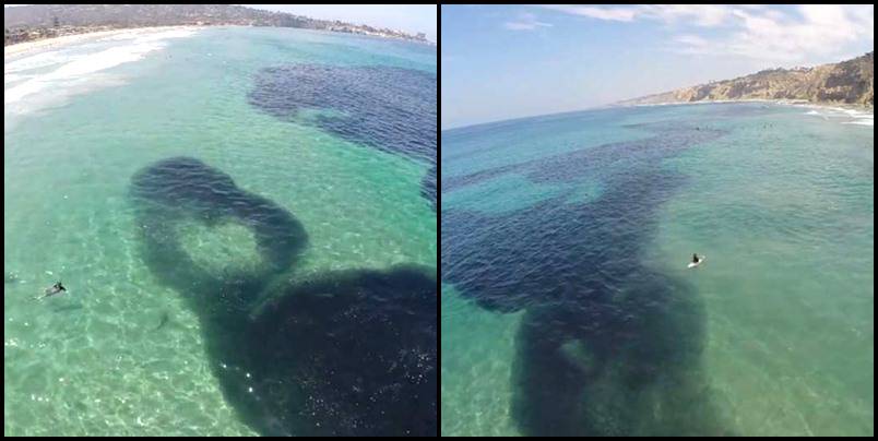 Izgledalo kao naftna mrlja, ali u pitanju je rijedak fenomen (VIDEO)