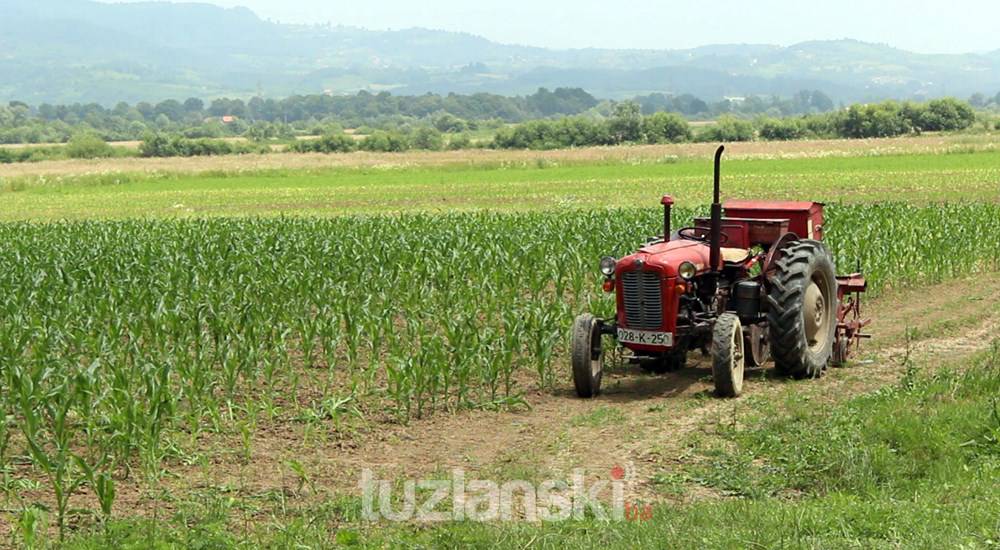 Poljoprivredni proizvođači sa područja grada Tuzla obavezni prijaviti planirani obim proizvodnje