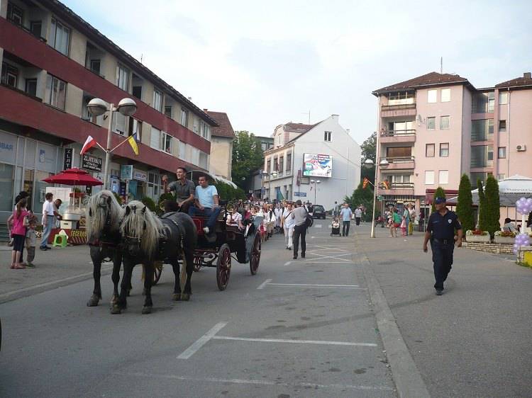 Prnjavor se priprema za pravljenje najveće riblje čorbe na svijetu