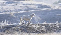 LEDENO SRCE SIBIRA: Ovako izgleda najhladnije mjesto na svijetu (FOTO)