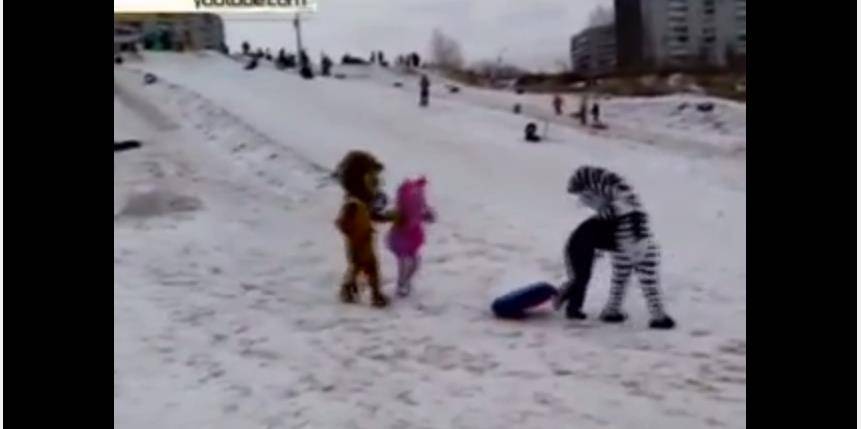 Samo u Rusiji: Nervozan momak dobio batine od zebre, lava i vanzemaljca (VIDEO)