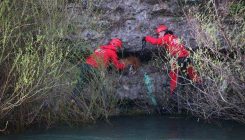 Mostar: Spašen pas koji je desetak dana bio "zarobljen" ispod mosta (FOTO)