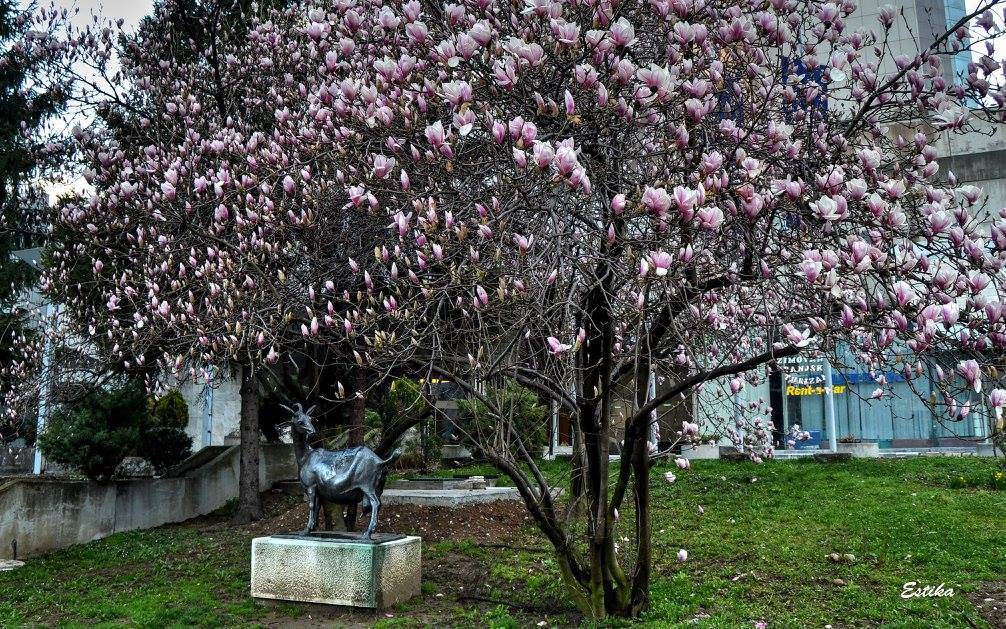 Evo kakvo nas vrijeme očekuje u narednim danima