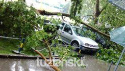 Tuzla: Uslijed nevremena odlomljena grana oštetila parkirane automobile (FOTO)