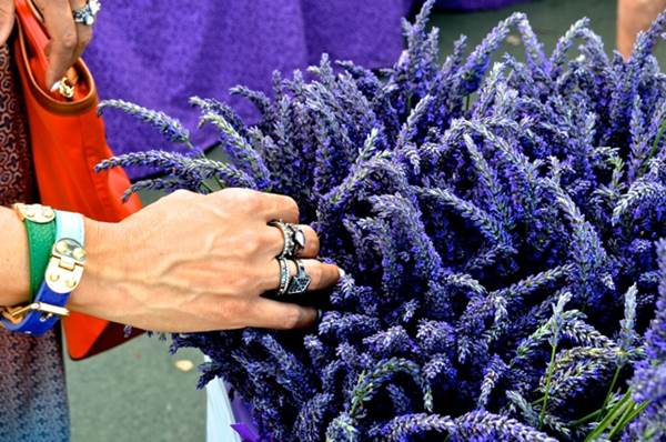 Lavanda može natjerati ljude da ti vjeruju