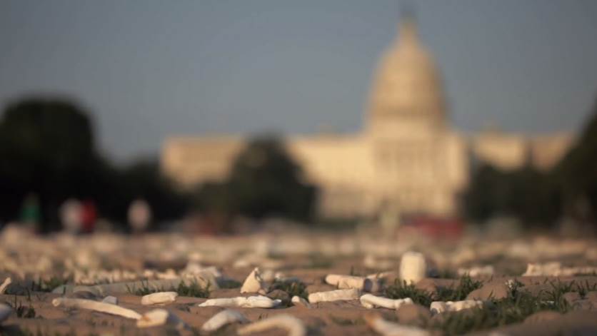 20. godina od genocida u Srebrenici: Milion kostiju na travnjaku u Washingtonu (VIDEO)