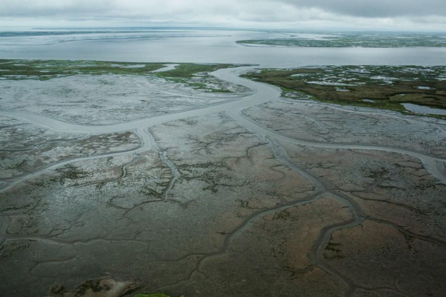 NASA: Okeani i mora zbrisat će države, moguć i nestanak naroda