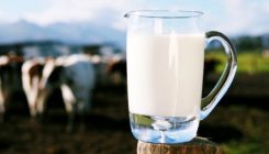 Da je mlijeko zdravo i krave bi ga pile