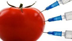 Donesen Pravilnik o postupku ocjenjivanja i ovlaštenja laboratorija za GMO oblast