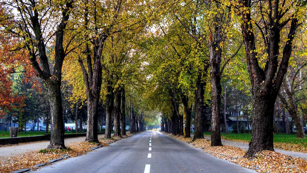 U centralnim i istočnim područjima Bosne oblačno, u ostatku BiH pretežno vedro: Biometeorološka prognoza povoljna