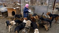 Zajedničkim snagama uljepšajmo dan njuškicama u Tuzlanskom azilu (FOTO)