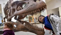 Tunis: Naučnici otkrili 100 otisaka stopala dinosaura