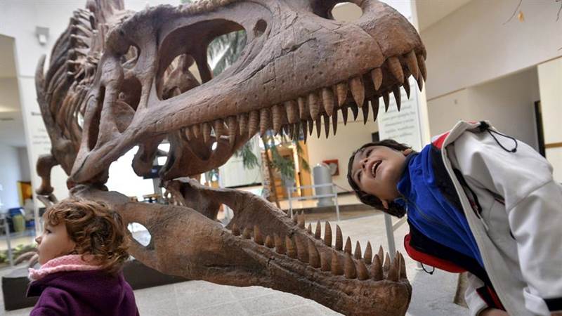 Tunis: Naučnici otkrili 100 otisaka stopala dinosaura