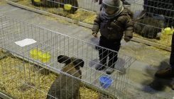 Izložba sitnih životinja u Sarajevu: Hiljade mališana upoznali životinje za koje su ranije znali samo iz knjiga (FOTO)