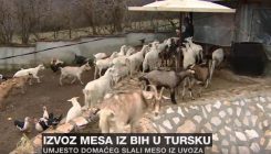 Izvoznici mesa iz BiH izigrali povjerenje uvoznika iz Turske (VIDEO)