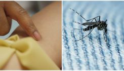 Ukinuto vanredno stanje uvedeno u februaru zbog virusa zika