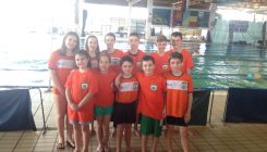 Novi Sad: PK-u Zmaj-Alpamm 5 medalja na MPM "Europa 2016" (FOTO)