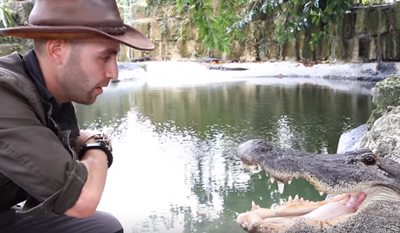 Dopustio je aligatoru da ga ugrize, da bi dokazao nešto što već svi znamo (VIDEO)