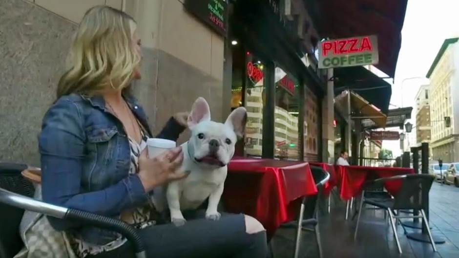 "Bark'N'Borrow": Aplikacija pomoću koje možete unajmiti psa (VIDEO)