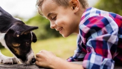 Dijete i pas dobitna su kombinacija: Savjeti psihijatra i veterinara...