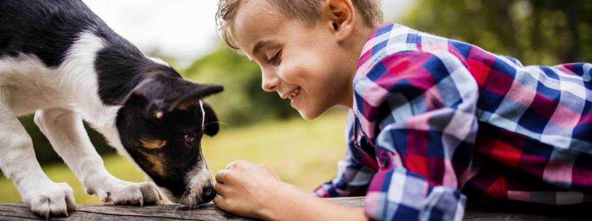 Dijete i pas dobitna su kombinacija: Savjeti psihijatra i veterinara...