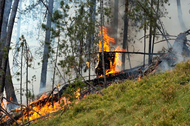 Grad Tuzla: Zabrana paljenja vatre na otvorenom, novčana kazna od 50 do 500 KM