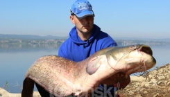 Jezero Modrac: Tuzlak upecao dva soma preko 40 kg u dva dana (FOTO)