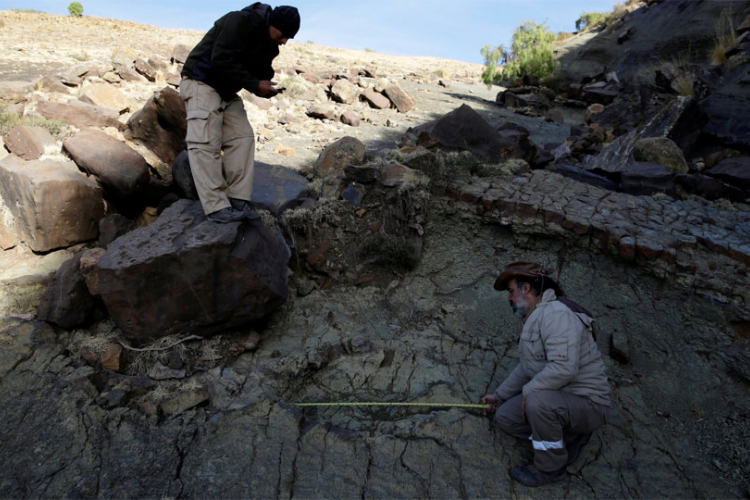 U Boliviji pronađen najveći do sada otisak dinosaurusa