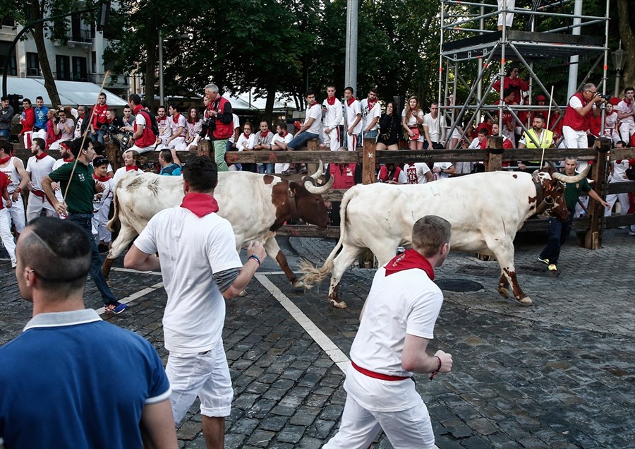 Pamplona: Četvero povrijeđenih u šestoj trci s bikovima