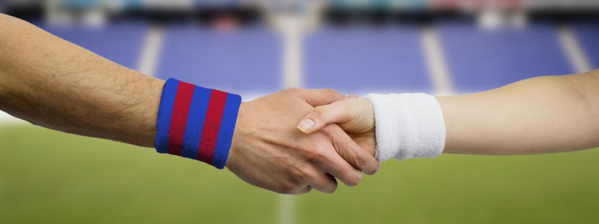 Sport kao važan dio izgradnje dobrih odnosa između BiH i Austrije