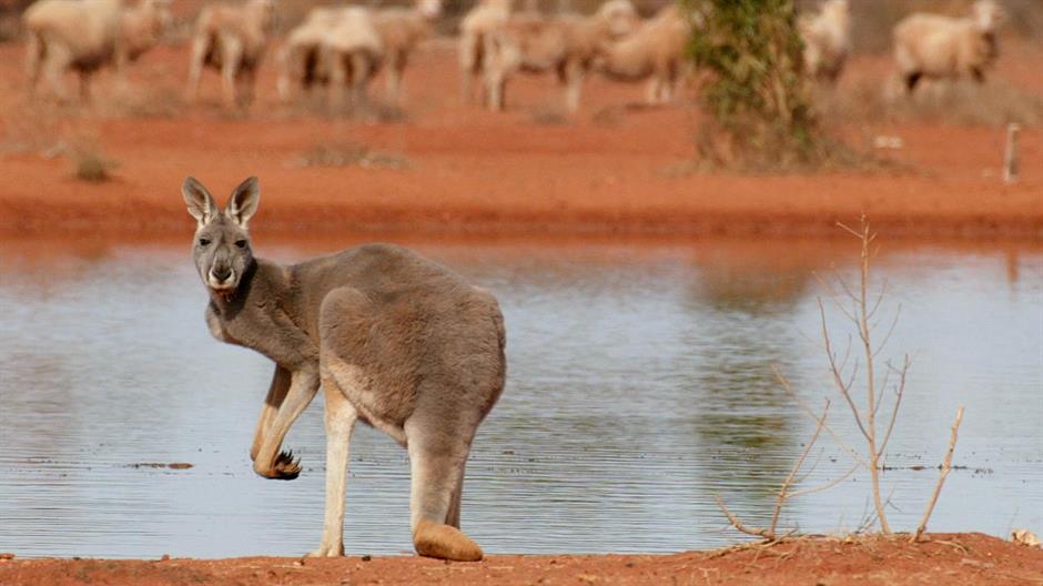 Imate atlas s Australijom? Slobodno ga bacite