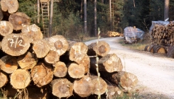 Nedostatak sirovine jedan od gorućih problema drvoprerađivača